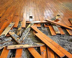 Dania Restoration Expert Dania, FL 754-206-0820 Dania Restoration Expert Dania, FL 754-206-0820 - abt-flood-wgr-2