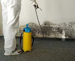 Dania Restoration Expert Dania, FL 754-206-0820 Dania Restoration Expert Dania, FL 754-206-0820 - abt-mold-wgr-2