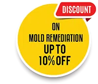 Dania Restoration Expert, Dania, FL 754-206-0820 Dania Restoration Expert, Dania, FL 754-206-0820 - discount-wgr-2